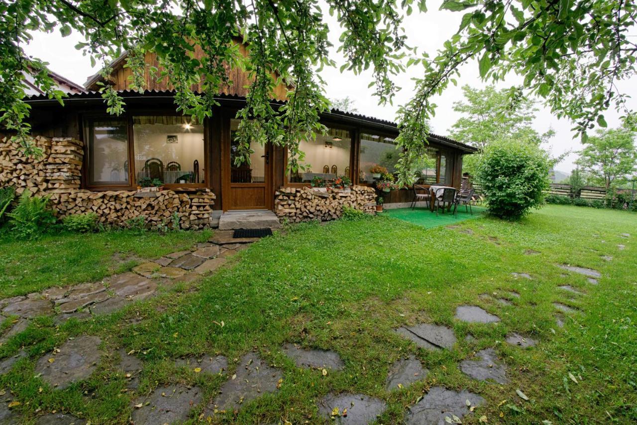 Pensiunea Casa Bianca - Bucovina Vama  Ngoại thất bức ảnh