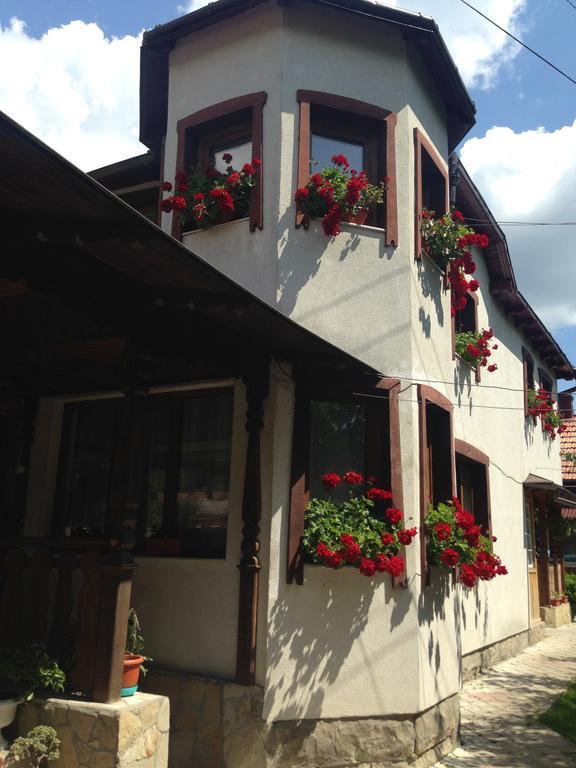 Pensiunea Casa Bianca - Bucovina Vama  Ngoại thất bức ảnh